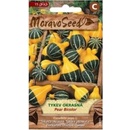Semínka MoravoSeed Tykev okrasná PEAR BICOLOR, žluto-zelená 00891