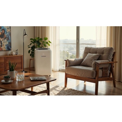 Blaupunkt ACP312