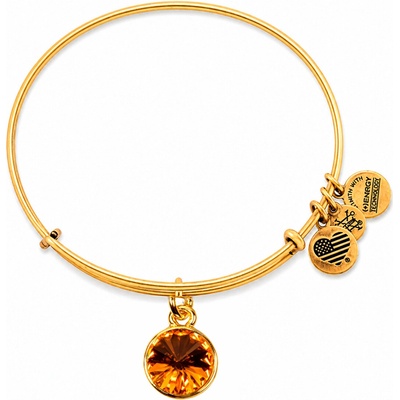 ALEX AND ANI Dámsky Náramok A12EB250RG