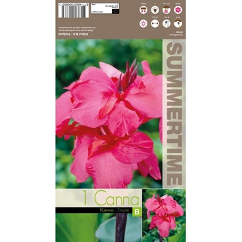 Seklos Индийска Кана Емпайър Canna Indica - 1 бр луковица