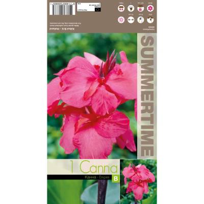 Seklos Индийска Кана Емпайър Canna Indica - 1 бр луковица