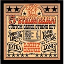 ERNIE BALL 2312