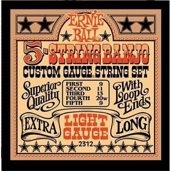 ERNIE BALL 2312