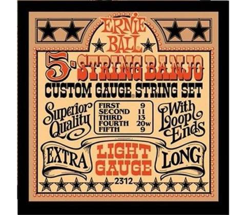 ERNIE BALL 2312