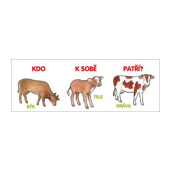 Kdo k sobě patří?