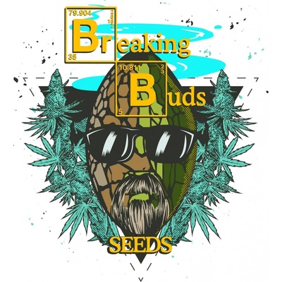 Breaking Buds Seeds Chocolate Cookies semena neobsahují THC 5 ks