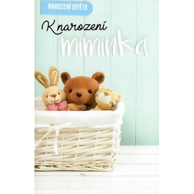 Nekupto Blahoželanie k narodeniu dieťaťa K narodeniu bábätka 115 x 170 mm 3462 F