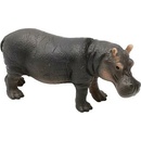 Atlas C - Hroch obojživelný 12 cm