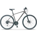 Levit Simur 1 2022