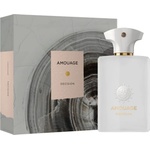 Amouage Decision EDP 100 ml Парфюми