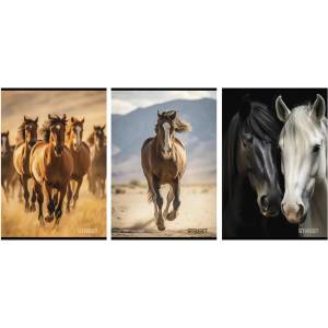 STREET Тетрадка обикновена STREET A/4 54 страници Horses 67583 (67583)