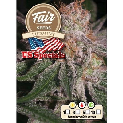 Fair Seeds Budmint semena neobsahují THC 10 ks