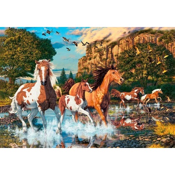 Castorland - Puzzle Horse Wonderland - 1 000 piese