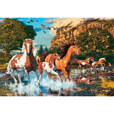 Castorland - Puzzle Horse Wonderland - 1 000 piese