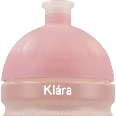 Zdravá lahev Pastel 700 ml