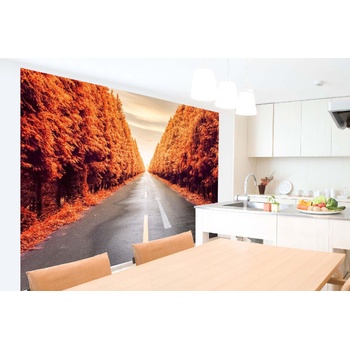 DIMEX ART s. r. o Самозалепваща се флизелинова фототапета есенен път 375 x 250 см