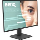 BenQ GW2491