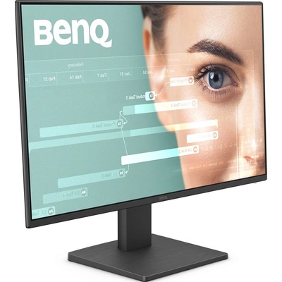 BenQ GW2491