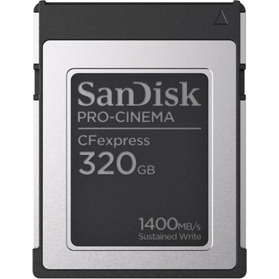 SanDisk 320GB SDCFEC-320G-GN4NN