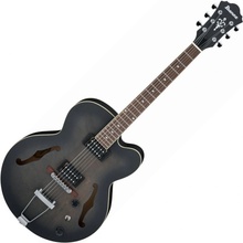 Ibanez AF 55