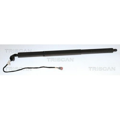 Pneumatická pružina kufor/úložný priestor TRISCAN 8710 16317