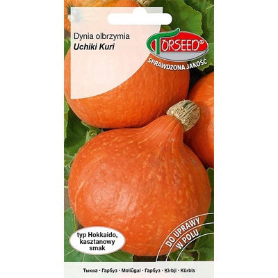 Kabáčky a cukety TORSEED TEKVICA OBROVSKÁ UCHIKI KURI 2 G semená 2 g