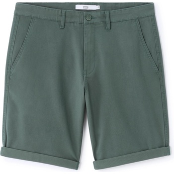 CELIO Bochinobm 34