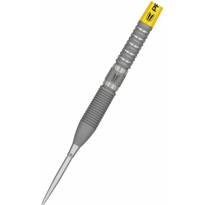 Target - darts Steel Gabriel Clemens - G2 Swiss Point - 23g