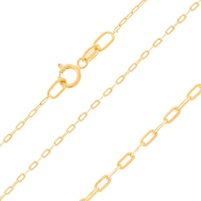 Argento Zlatý řetízek 1A037