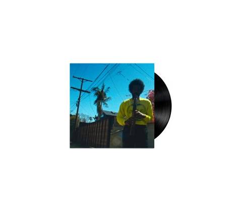 André 3000: Moving Day LP