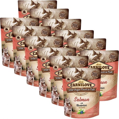 Carnilove Puppy salmon & blueberries 12 x 300 g