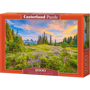 Castorland Пъзел Castorland от 2000 части - Цветовете на утрото (C-200863-2)