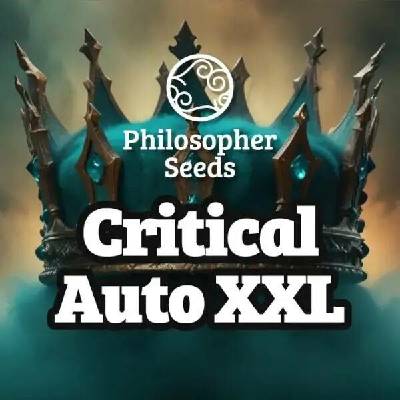 Philosopher Seeds Critical Auto XXL semena neobsahují THC 5 ks