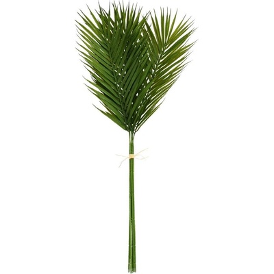 ZELEŇ PHOENIX ZVÄZOK x6 75CM