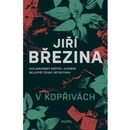 V kopřivách