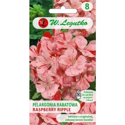 Divas F1 záhradná pelargónia – Raspberry Ripple – pestrofarebná oranžová a červená