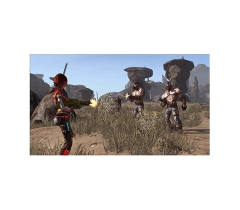 Borderlands 3: Director's Cut