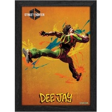 Pixel Frames PLAX Street Fighter 6: Dee Jay 25x30, RET00388