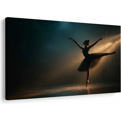 Obraz baletka v záři reflektorů - 120x80