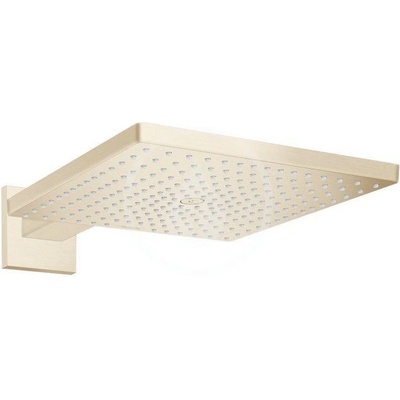 Hansgrohe Raindance 26238140