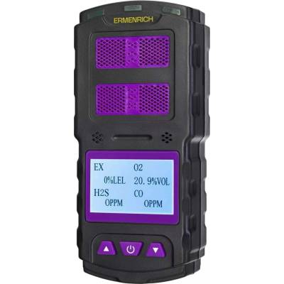 Ermenrich NG60
