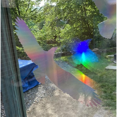 Silueta dravce z holografické fólie Fantasy rainbow, proti narážení ptáků do skla Silueta dravce z holografické folie Fantasy rainbow (65 x 150 mm tl.0,065 mm) - kód: 24607