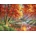 SunsOut - Puzzle Vibrant Morning - 500 piese