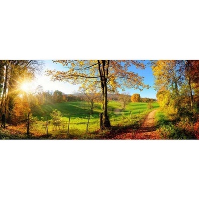 DIMEX ART Панорамни флизелинов фототапет ливада 375 x 150 см