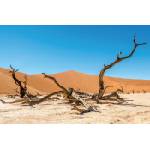 DIMEX ART Флизелинов фототапет суха пустиня 375 x 250 см
