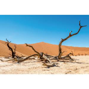 DIMEX ART Флизелинов фототапет суха пустиня 375 x 250 см