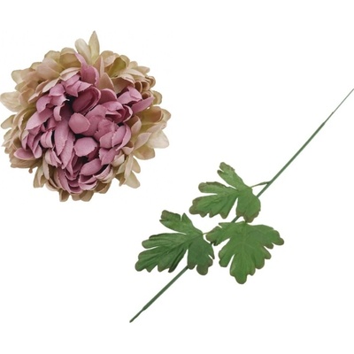 Chryzantéma růžová 65 cm, sada 6ks