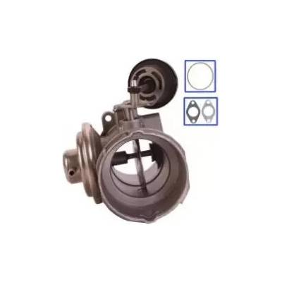 QWP AGR ventil QWP WEG104