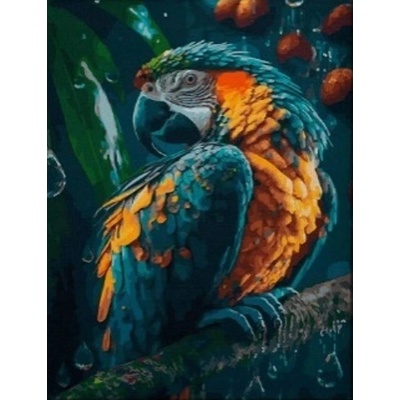 Norimpex - Puzzle Diamant painting: Parrot 30x40 cm - 1 - 39 piese