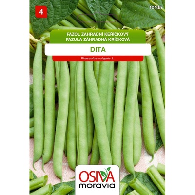 Osiva Moravia Fazol keříčkový zelený lusk DITA